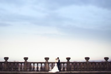 esmer damat ve sarı gelin