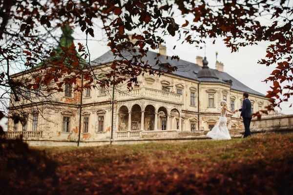 Bruneta ženich a nevěsta blondýna — Stock fotografie