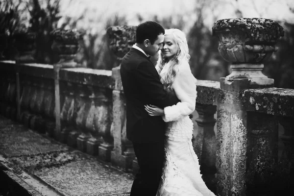 Brunette groom and blonde bride — Stock Photo, Image