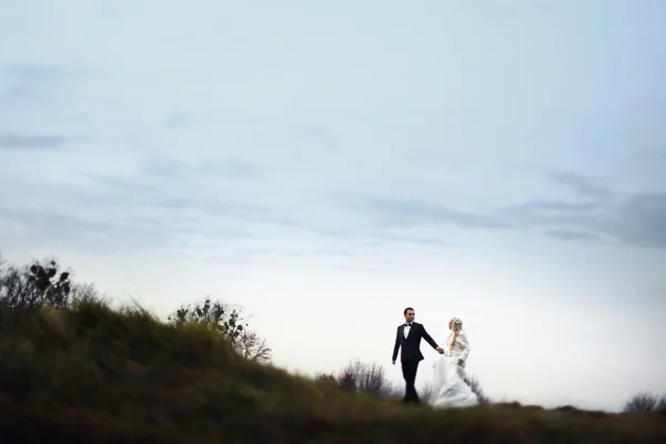Bruna sposo e sposa bionda — Foto Stock