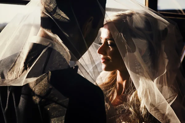 Brunette groom and blonde bride — Stock Photo, Image