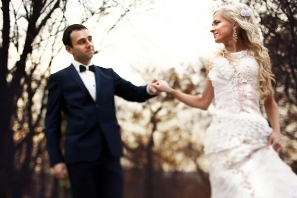 Brunette groom and blonde bride — Stock Photo, Image