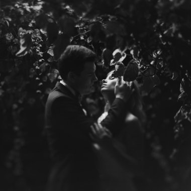 sevgi sevimli gelin ve damat