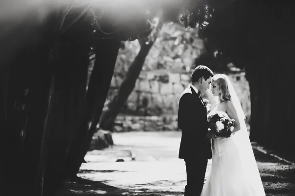 Bride and groom kissing laugh — Stock Photo, Image