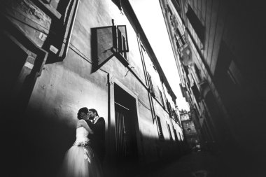 Gelin ve damat öpüşüyor.