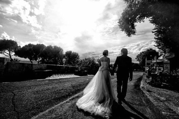 Cute bride and groom — Stock Photo, Image