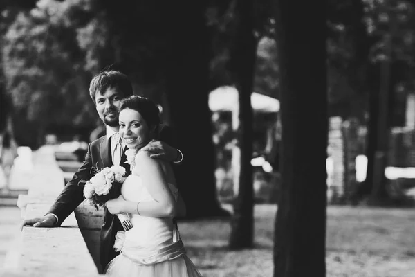 Gentle beautiful bride and groom — Stock Photo, Image