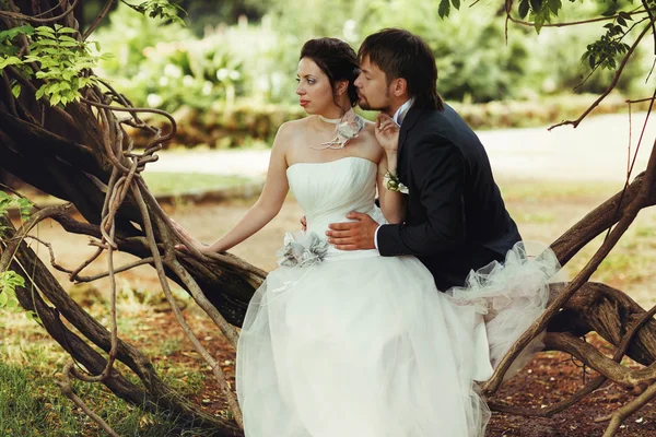 Gyönyörű menyasszony és vőlegény. — Stock Fotó
