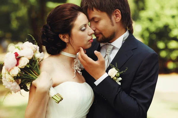 Líbání nevěsty a ženicha — Stock fotografie