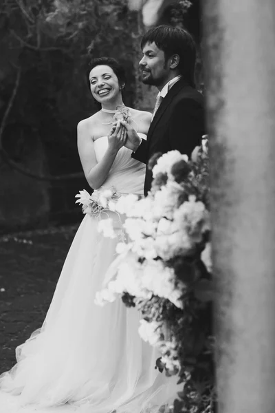 豊富なスタイリッシュな幸せな花嫁と花婿 — ストック写真