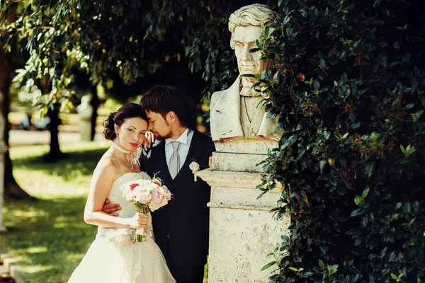 Brunette solid  groom and bride — Zdjęcie stockowe