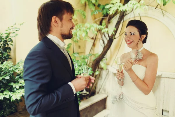 Rich stylish bride and groom — Stock Photo, Image