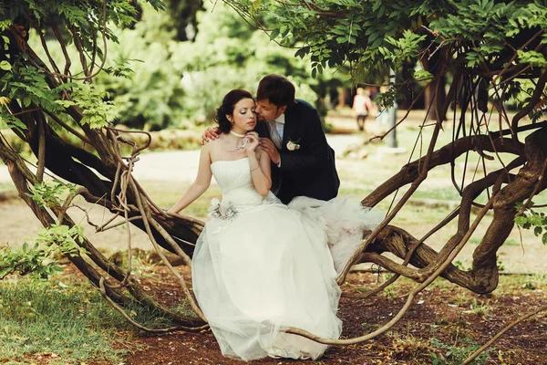 Beautiful bride and groom — Stock Photo, Image