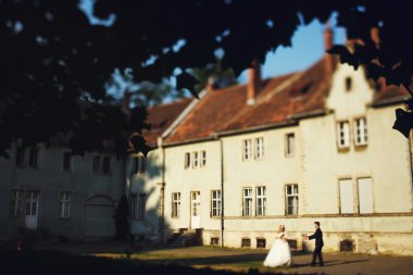 Gelin ve büyüleyici damat elele