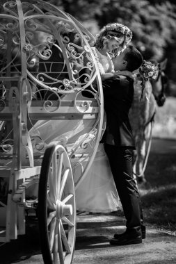 Romantik masal Düğün çifti