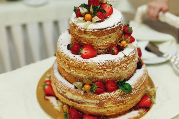 Leckere und leckere Hochzeitstorte — Stockfoto