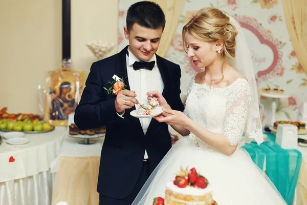 Glückliches Hochzeitspaar — Stockfoto