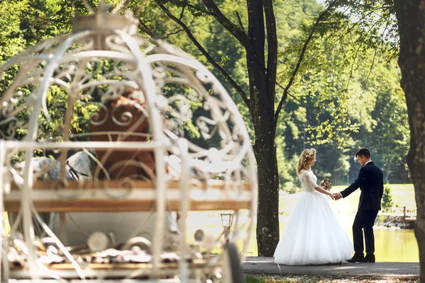 Märchenhafte Aschenputtel-Hochzeitskutsche — Stockfoto