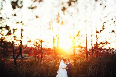 Gelin ve damat yürüyüş