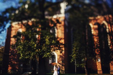 Gelin ve damat huging