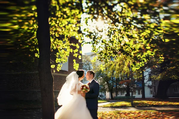 Noiva e noivo andando — Fotografia de Stock