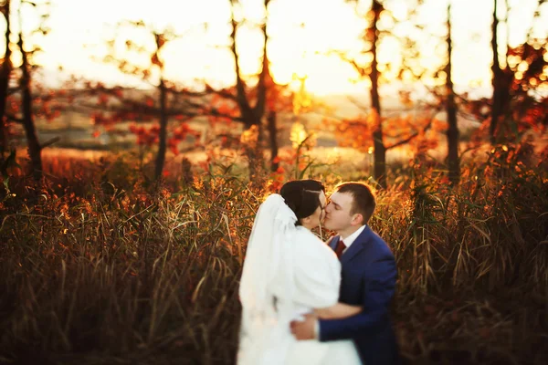 Gelin ve damat yürüyüş