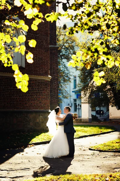 Bride and groom  walking — Stock Photo, Image
