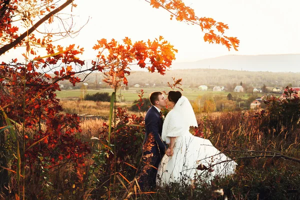 Noiva e noivo andando — Fotografia de Stock