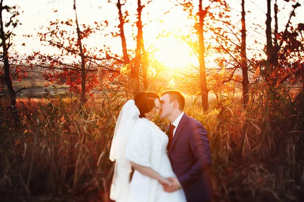 Sposa e sposo a piedi baci — Foto Stock