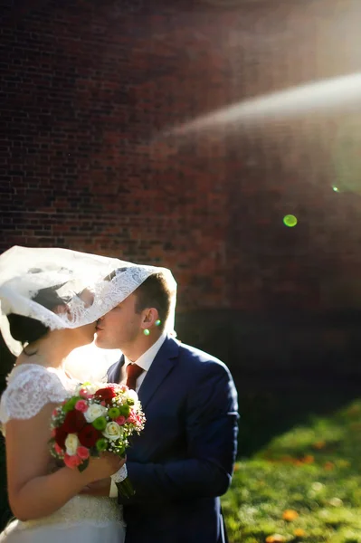 Noiva e noivo andando beijando — Fotografia de Stock
