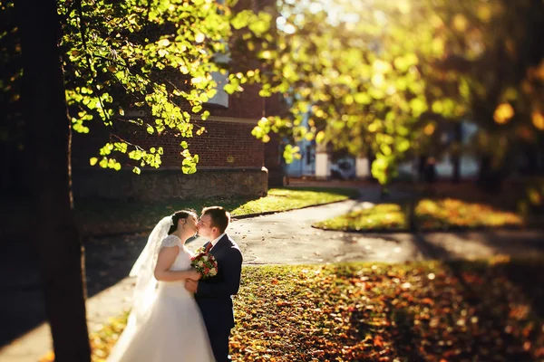 Braut und Bräutigam zu Fuß — Stockfoto