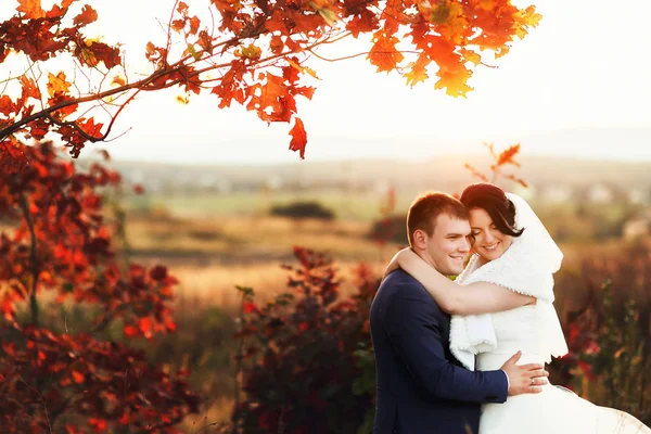 Braut und Bräutigam zu Fuß — Stockfoto