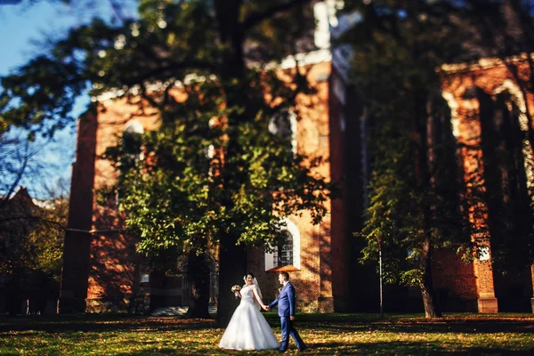 Novia y novio caminando —  Fotos de Stock