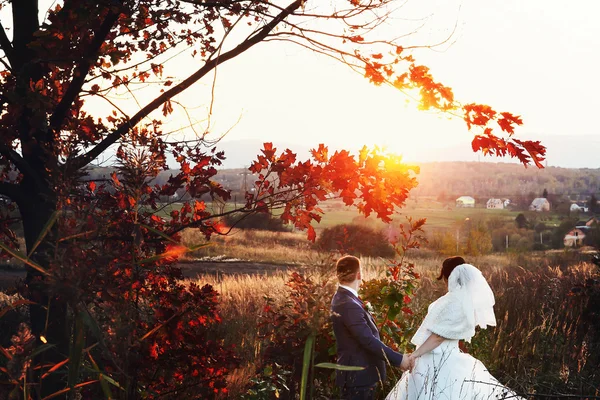 Gelin ve damat yürüyüş — Stok fotoğraf