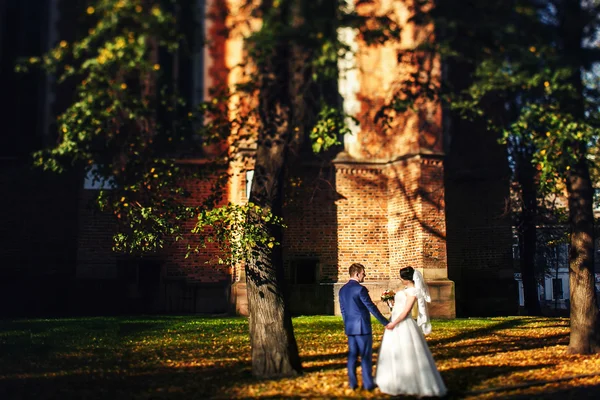 Noiva e noivo andando — Fotografia de Stock