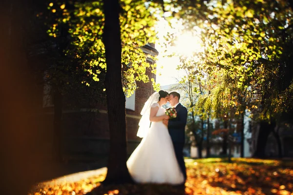 Noiva e noivo andando — Fotografia de Stock