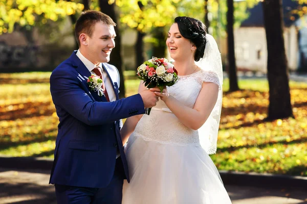 Bruid en bruidegom wandelen — Stockfoto