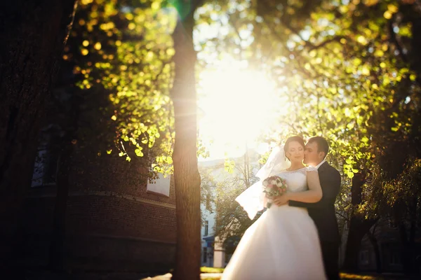 Noiva e noivo andando beijando — Fotografia de Stock