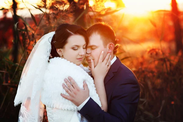 Bruden och brudgummen promenader — Stockfoto