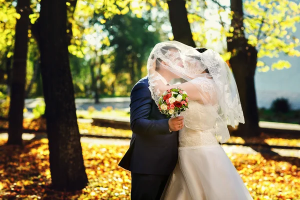 신부와 신랑의 키스 산책 — 스톡 사진