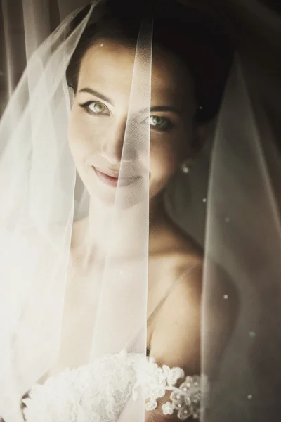 Beautiful sexual brunette bride — Stock Photo, Image