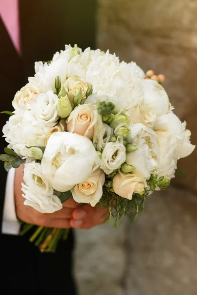 Hermosas rosas blancas frescas — Foto de Stock