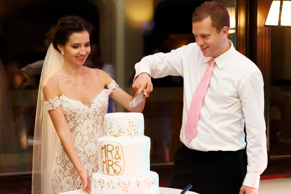 Glückliches Paar Bräutigam und schöne Braut — Stockfoto