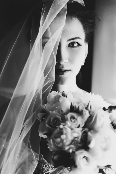 Beautiful sexual brunette bride — Stock Photo, Image