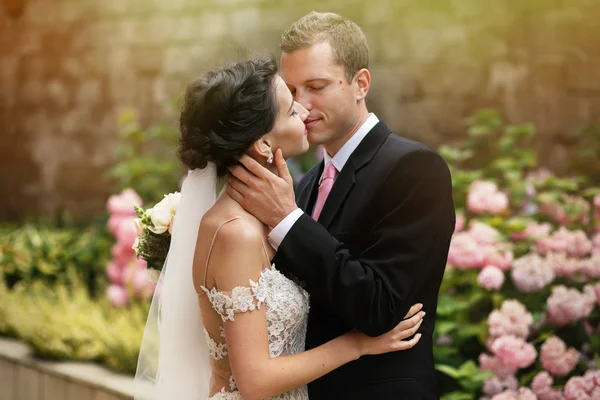 Hermoso novio feliz y novia — Foto de Stock