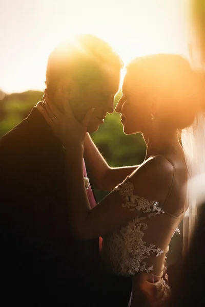 Bride and handsome groom — Stock Photo, Image