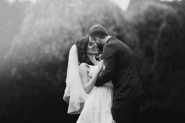 şehvetli yeni evli çift