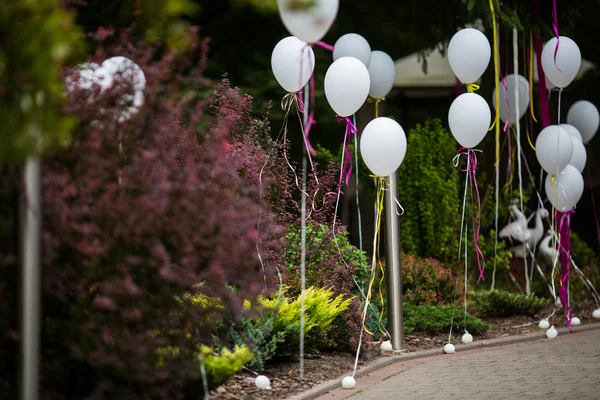 Elegant and fun decorated path — Stock Photo, Image