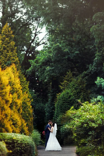 Romantic, sensual couple — Stock Photo, Image