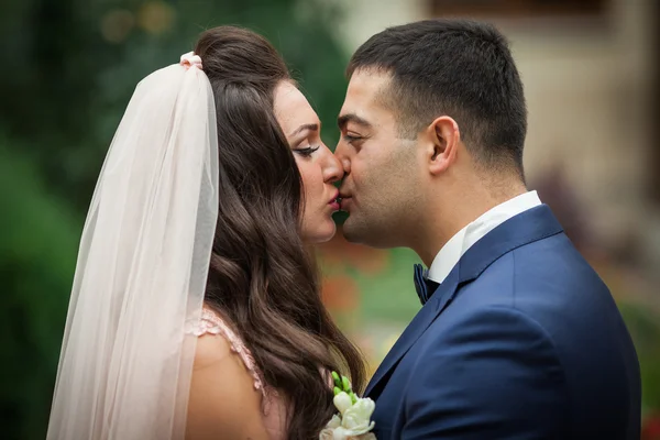 Casal recém-casado beijando — Fotografia de Stock